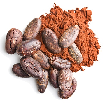 Principe actif cacao