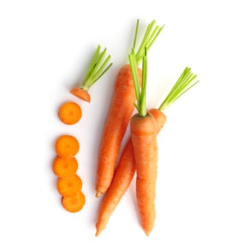 Principe actif carotte