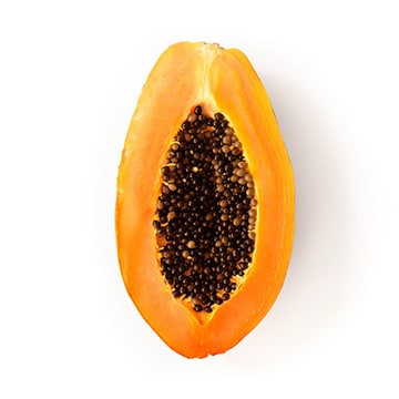 Principe actif papaye